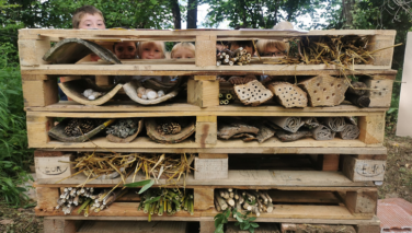Fête de la Nature 2021, retour sur les animations…