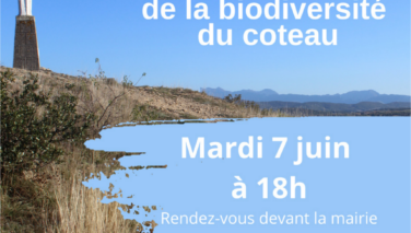 Découverte de la biodiversité