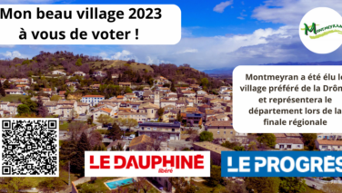 La finale régionale Auvergne-Rhône-Alpes est lancée !