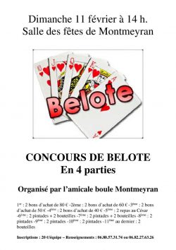 Concours belote des boules-5